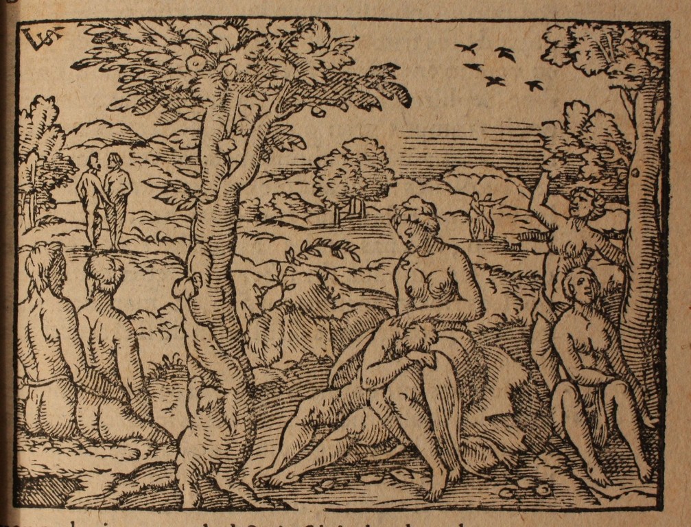 images/images/M.RACM.Amb.1595/M.RACM.Amb.1595.3.jpg