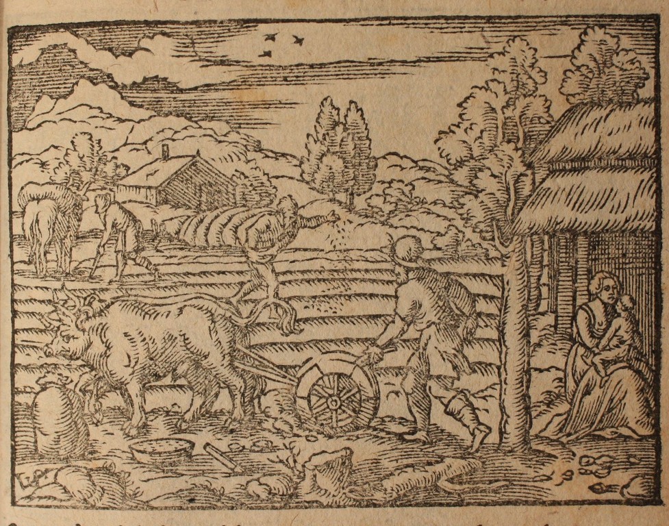 images/images/M.RACM.Amb.1595/M.RACM.Amb.1595.4.jpg